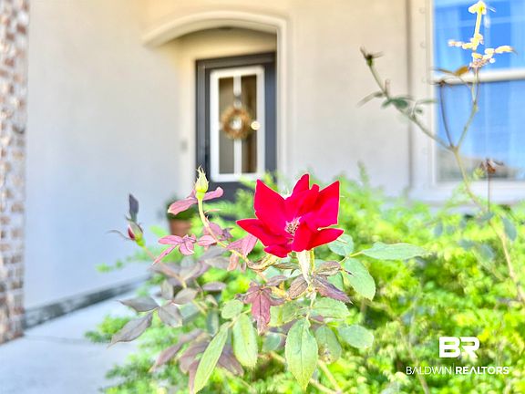 4th image of 32290 Calder Ct
