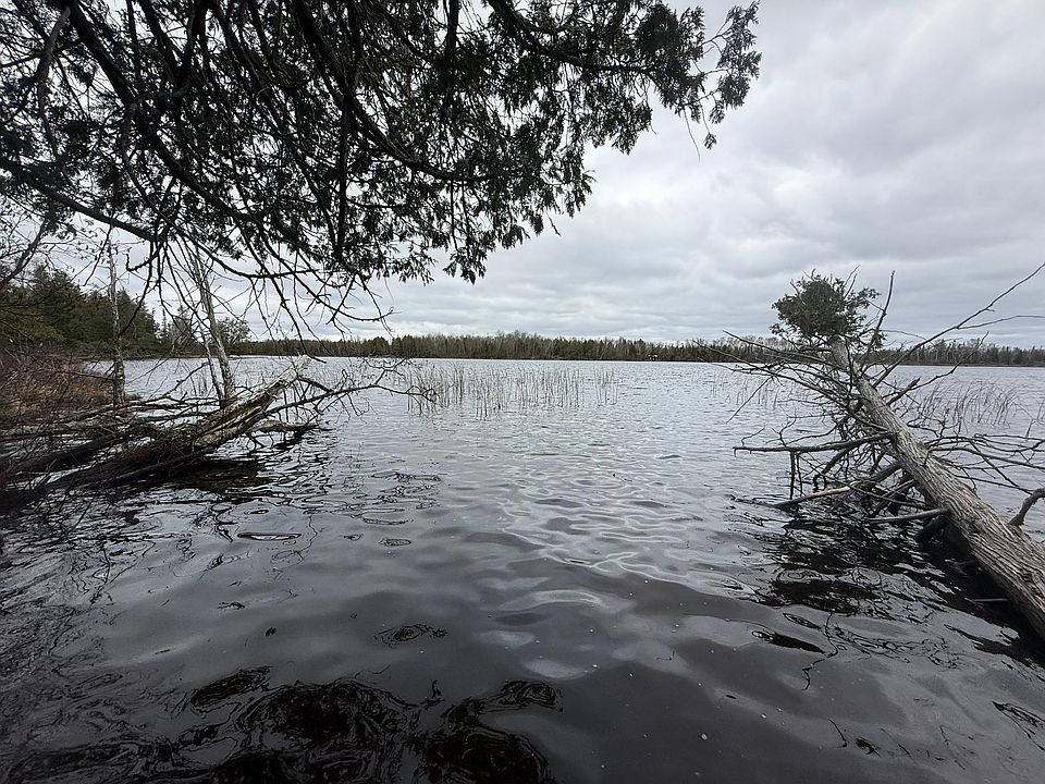 1st image of 31938 E Gunn Lake Trl