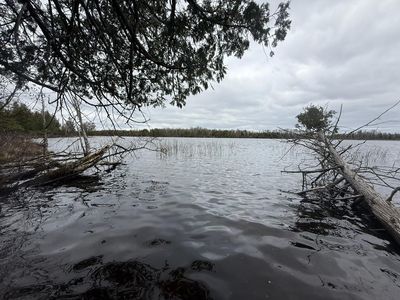 31938 E Gunn Lake Trl, Marcell, MN, 56657