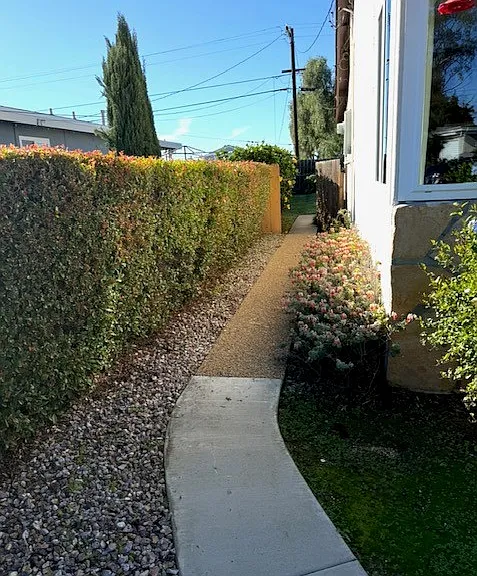 Budd St — Photo 4