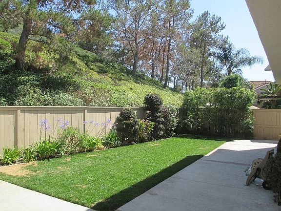 Rear yard - green belt view