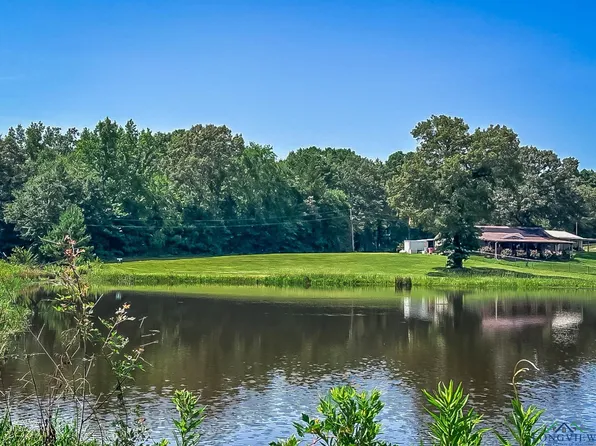 Sage Rd, Diana, TX 75640