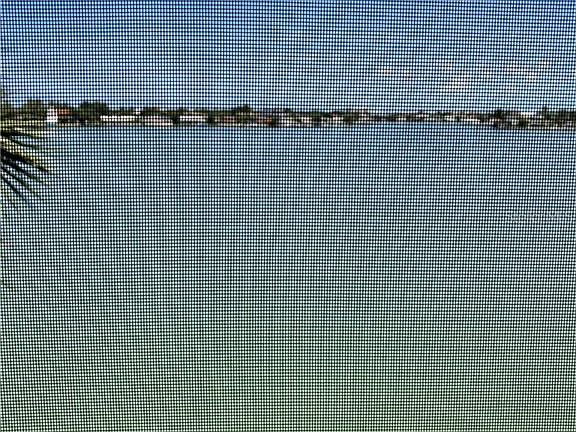 4th image of 7920 Sun Island Dr S APT 305