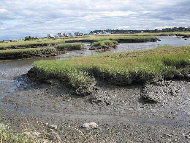 Welcome to 2nd Cliff!