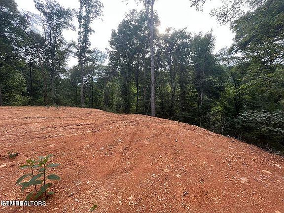 5th image of 6420 Maynardville Hwy