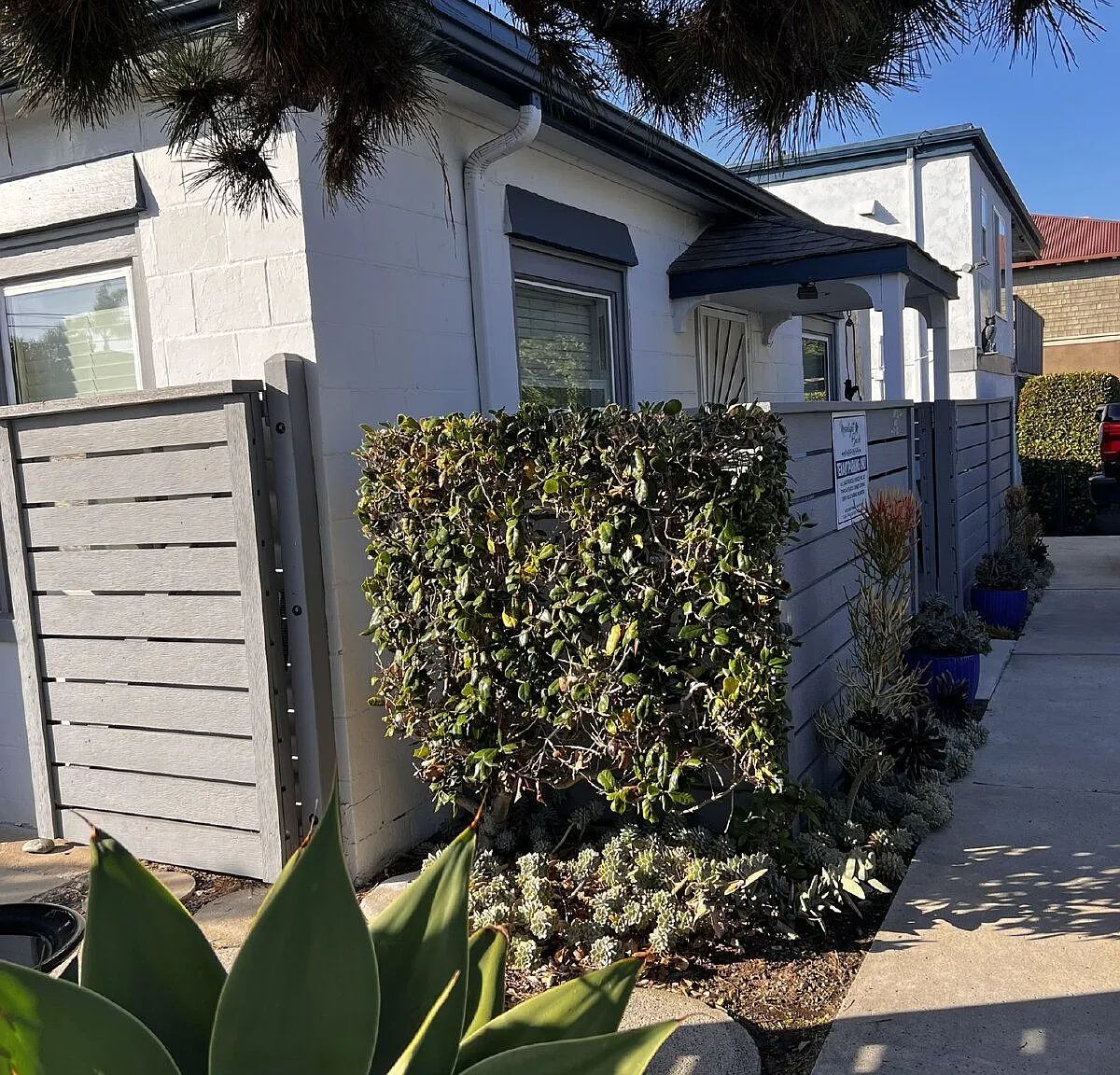 1 bed, 1.0 bath, 500 sqft, $3,200 — Photo 4