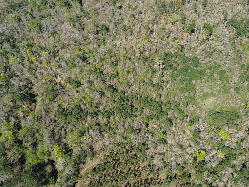 1st image of Fm 1012