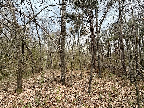 4th image of Alcorn County Rd #106