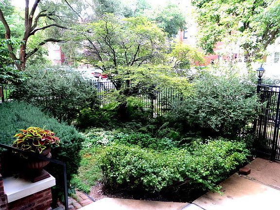 3rd image of 5825 N Winthrop Ave #1S