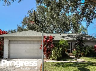 15908 Ironware Pl, Tampa, FL 33624