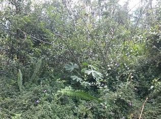 Plumeria Rd LOT 185, Pahoa, HI 96778