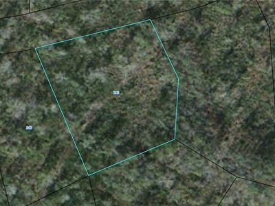 245 Black Hawk Dr, Waynesville, GA, 31566