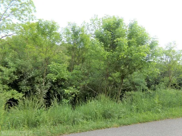 Castle Rock Dr, Pembroke, VA 24136