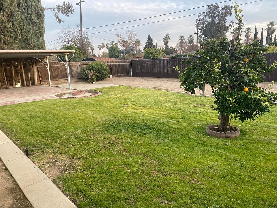 This is one angle of the backyard that gives a view of the Orange tree.