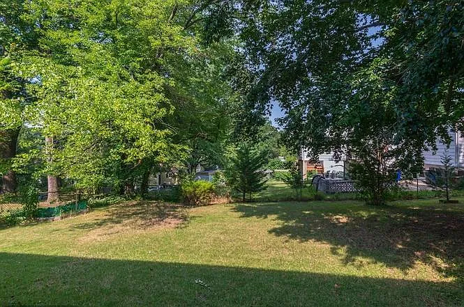 Back yard