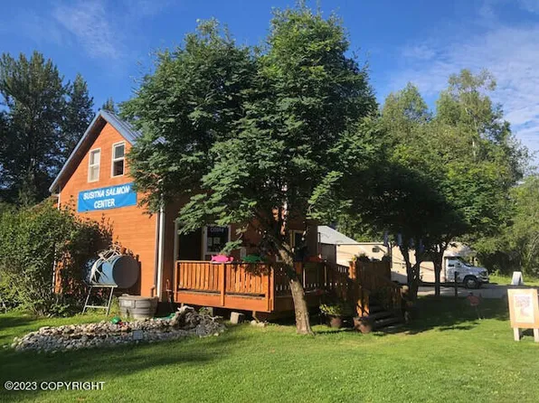 13512 E 1st St, Talkeetna, AK 99676