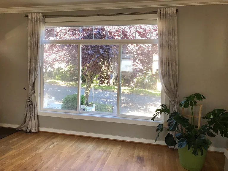 Neighborhood views from the family room