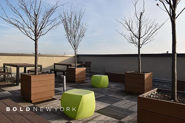 Rented by Bold New York | media 17