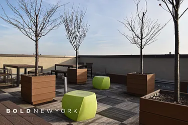 Rented by Bold New York