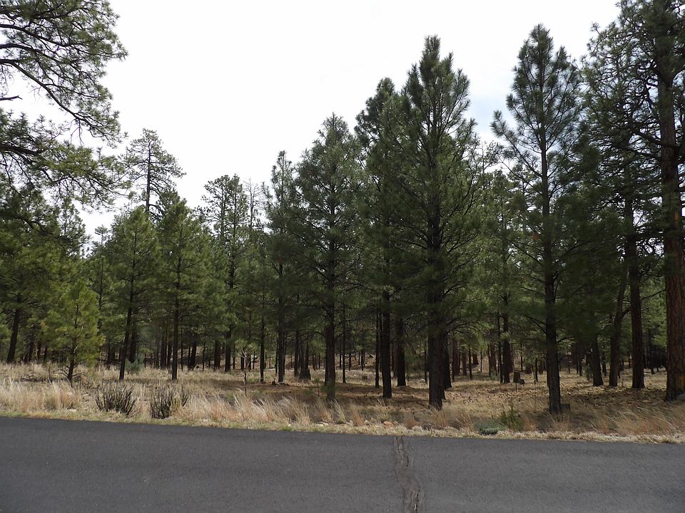 1st image of 2011 Pine Canyon Dr