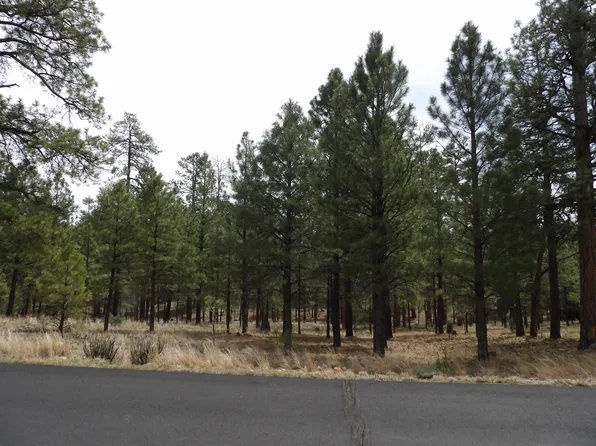 2011 Pine Canyon Dr, Happy Jack, AZ 86024
