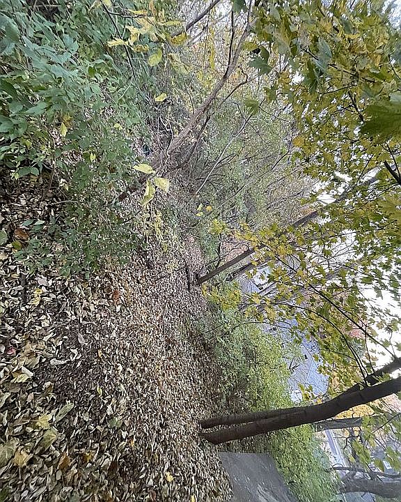 1st image of 0 NE Glen Oak Ave