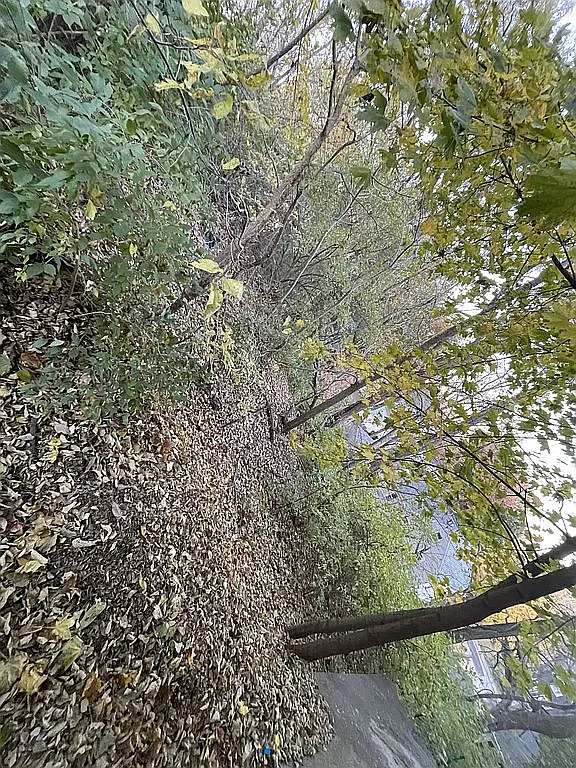 0 NE Glen Oak Ave photo 1