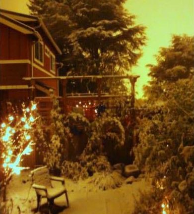Farmhouse in the Snow