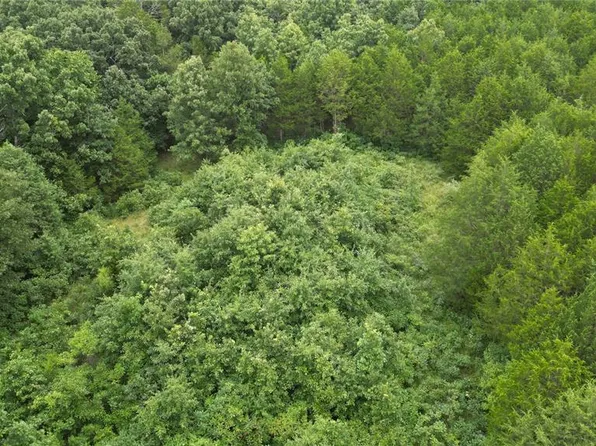 6135 Tall Cedars Rd, Hillsboro, MO 63050