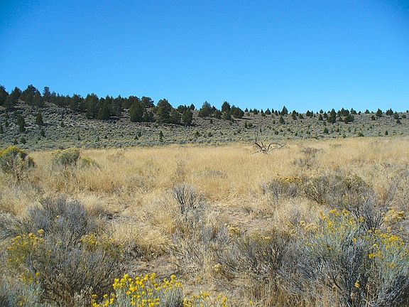 Open country