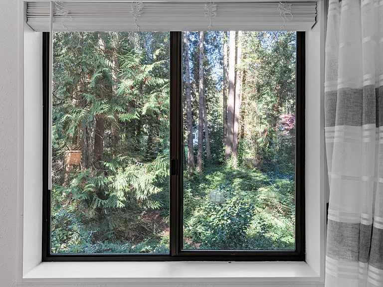 View from Master Bedroom