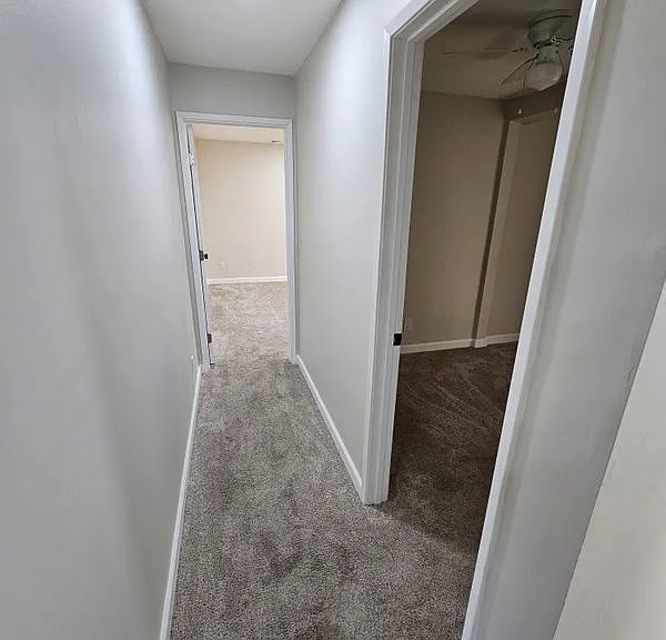 1228 W Palm Ave — Photo 5