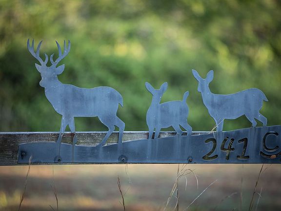 4th image of 32801 Us Highway 441 N Lot 241