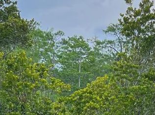 Malauka Loop LOT 19, Ocklawaha, FL 32179