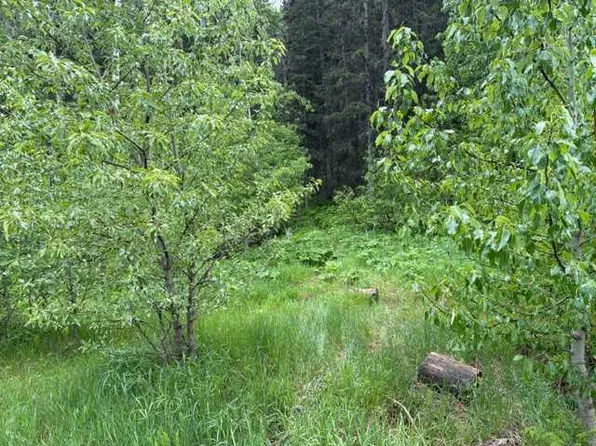 229 Mountain Lion Dr, Rocky View County, AB T0L 0K0