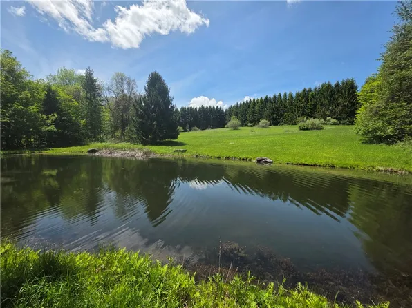 0 Lanning Rd #49, Naples, NY 14512