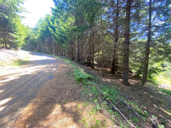 283 Muskrat Cir, Whitethorn, CA 95589