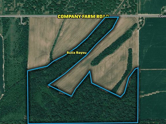 Company Farm Road Woods