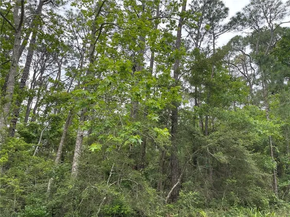 1105 Alabama Ave #7, Dauphin Island, AL 36528