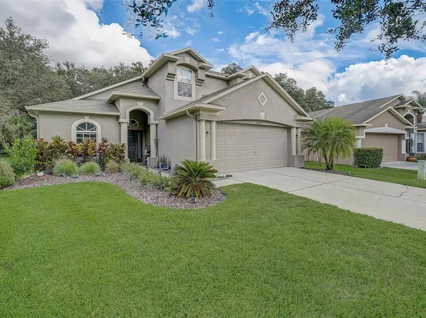 10480 Lucaya Dr, Tampa, FL 33647
