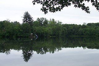 view of property from lake