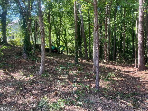 2nd image of 0 Ryman Ridge Rd