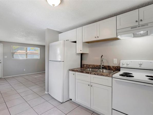 tampa-florida-82036463 picture