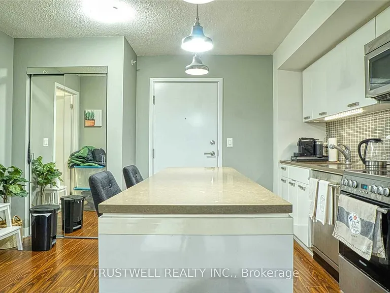 295 Adelaide St W #315 — Photo 4