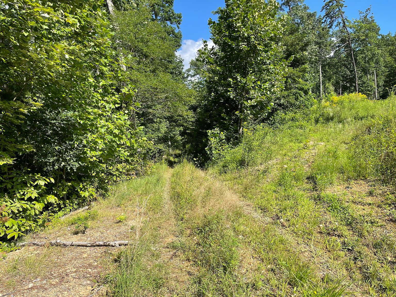 527 Rhea Ln, Mountain City, TN 37683 MLS 9955668 Zillow