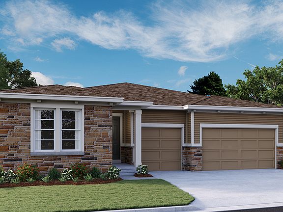 The Darius - Elevation C