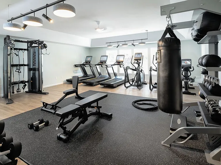 Fitness center with cardio and strength equipment