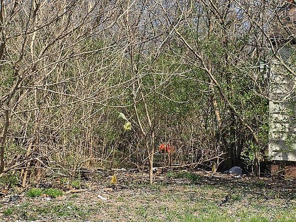 4th image of 10108 Mayfair Dr