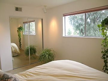Bedroom with Eastern Light Mirrored Closet