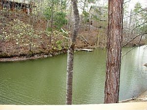 2nd image of 239 Woodside Dr